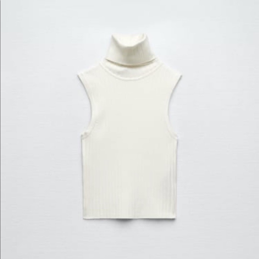 Zara Ribbed Turtleneck Crop Top